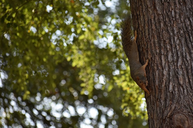 中医典籍 中医典籍