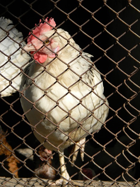 北京队在常 北京队在常