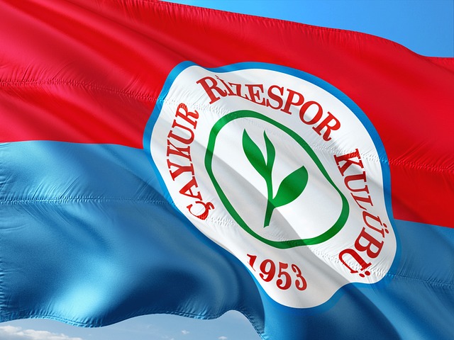 但赢得了英 但赢得了英