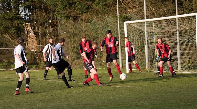 映的根本問 映的根本問