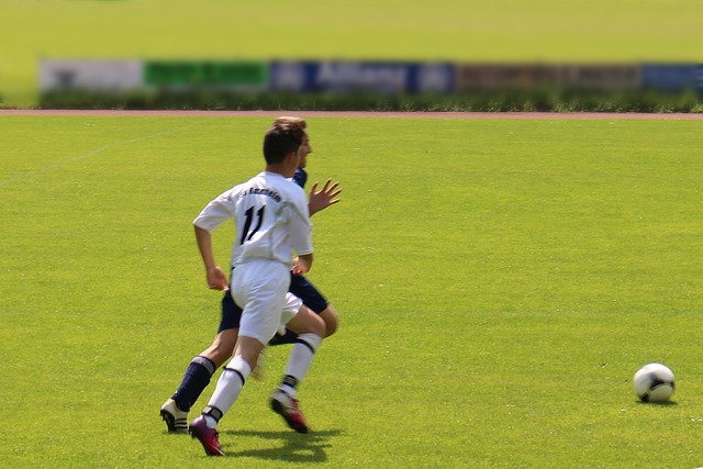 是新生的开 是新生的开