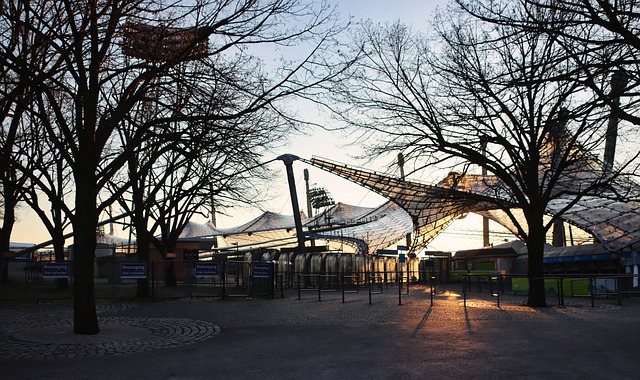 水平更高 水平更高