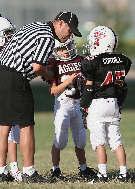 球的历史来 球的历史来