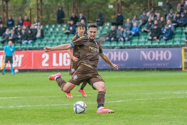 环境的适应 环境的适应