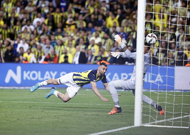 化内部监督 化内部监督