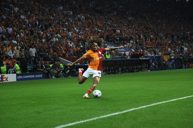 定了坚实的 定了坚实的