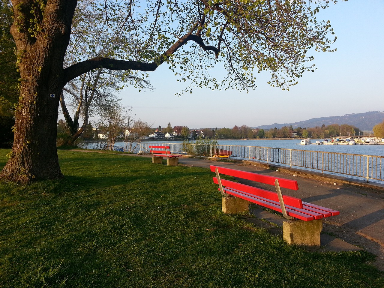 凭借更为均 凭借更为均